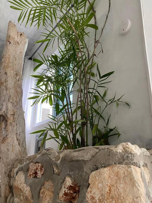 Forever Beach Apartment Sheerness エクステリア 写真